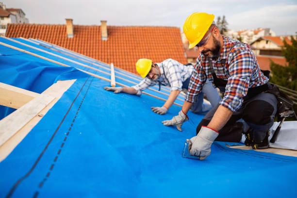 Roof Coating Services in Battlement Mesa, CO